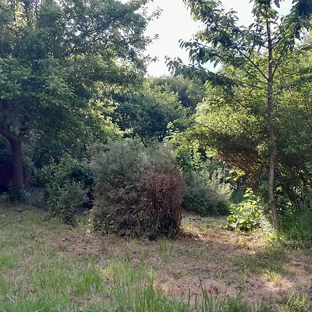 A La Campagne, Jardin, A 7 Min Guest house Chenereilles